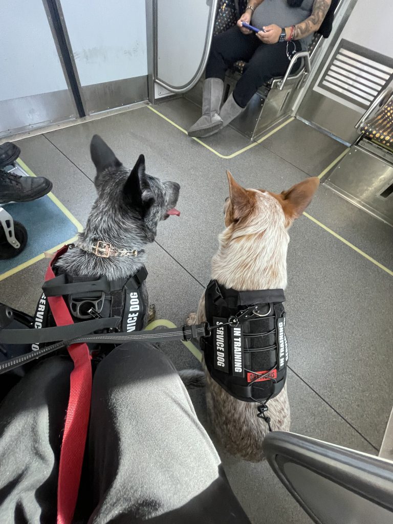 Specialty Training Services