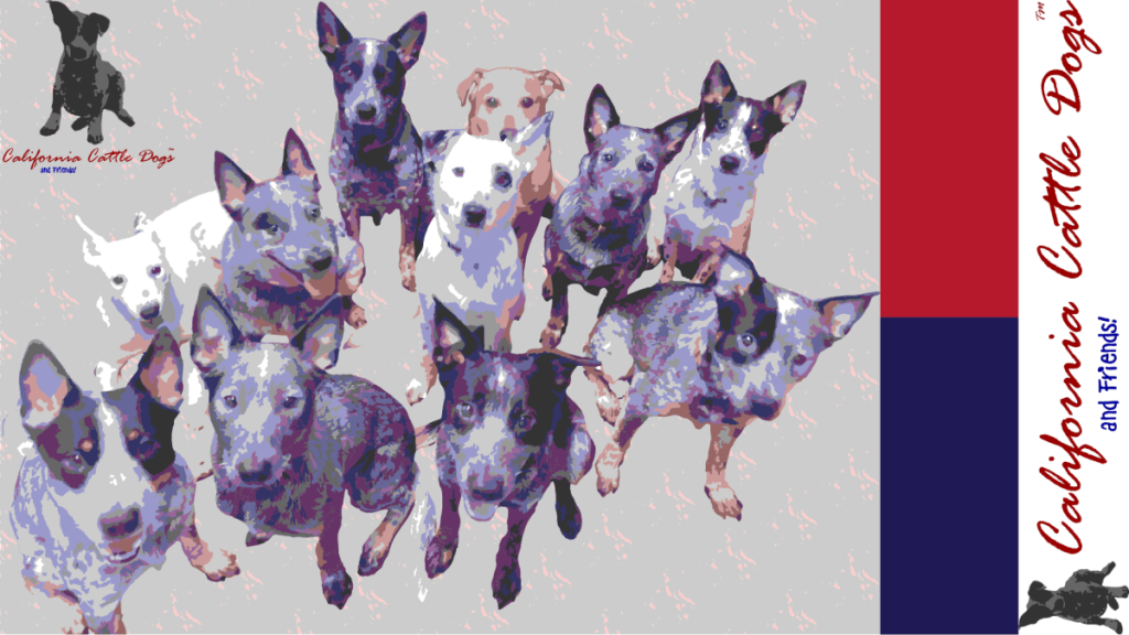 Website Under Construction!